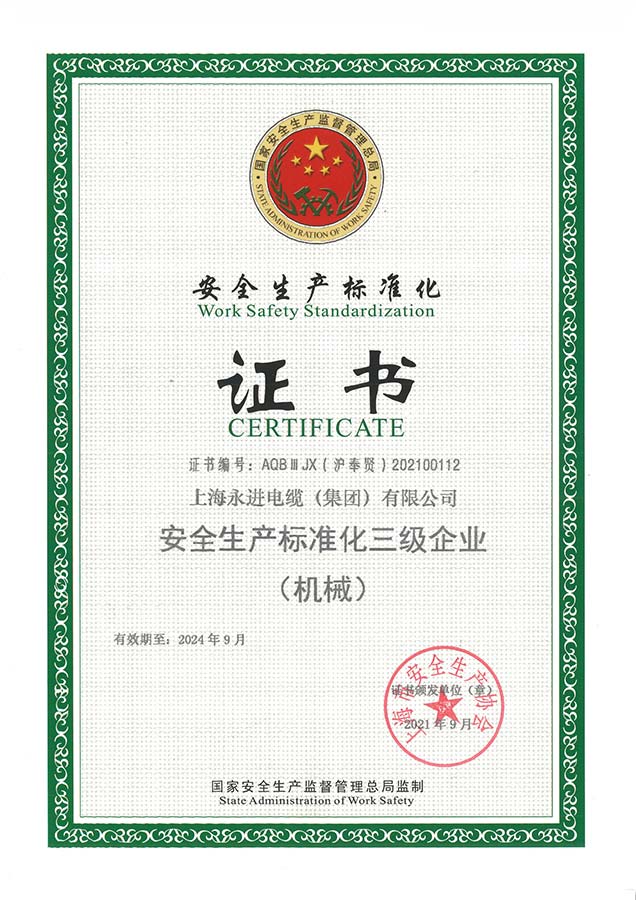 安全生產(chǎn)標(biāo)準(zhǔn)化證書(shū)(圖1)