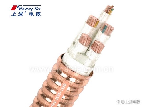 RTTZ電纜用什么材料結(jié)構(gòu)？(圖1)
