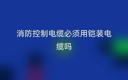 消防控制電纜必須用鎧裝電纜嗎？為什么？(圖1)
