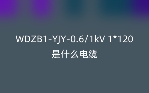 WDZB1-YJY-0.6/1kV 1*120是什么電纜？(圖1)