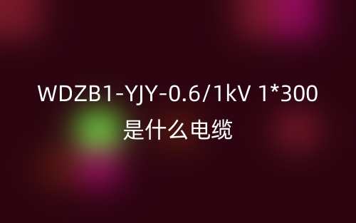 WDZB1-YJY-0.6/1kV 1*300是什么電纜？(圖1)