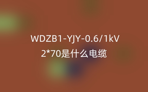 WDZB1-YJY-0.6/1kV 2*70是什么電纜？(圖1)