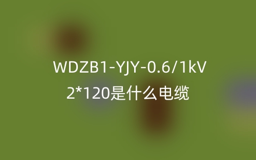 WDZB1-YJY-0.6/1kV 2*120是什么電纜？(圖1)
