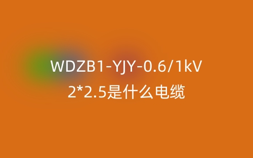 WDZB1-YJY-0.6/1kV 2*2.5是什么電纜？(圖1)