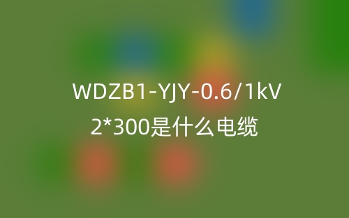 WDZB1-YJY-0.6/1kV 2*300是什么電纜？(圖1)