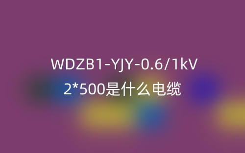 WDZB1-YJY-0.6/1kV 2*500是什么電纜？(圖1)