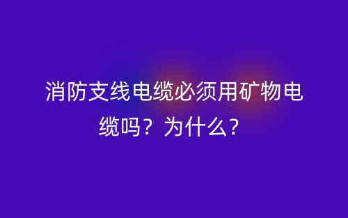 消防支線電纜必須用礦物電纜嗎？為什么？(圖1)