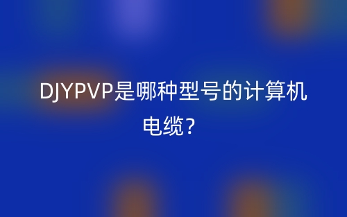 DJYPVP是哪種型號的計算機電纜？(圖1)