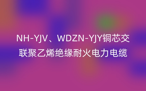 NH-YJV、WDZN-YJY銅芯交聯(lián)聚乙烯絕緣耐火電力電纜(圖1)