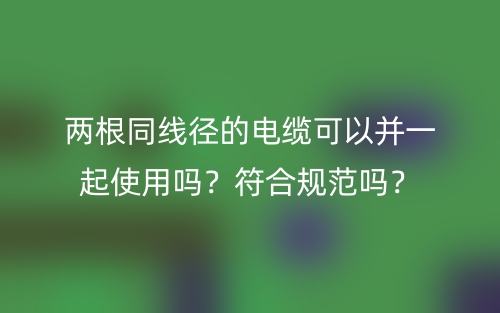 兩根同線徑的電纜可以并一起使用嗎？符合規(guī)范嗎？(圖1)